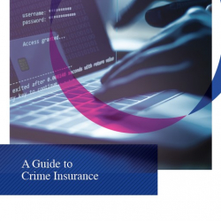 2020 Crime Insurance Guide 